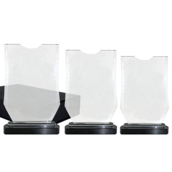 Trophee Special en Verre