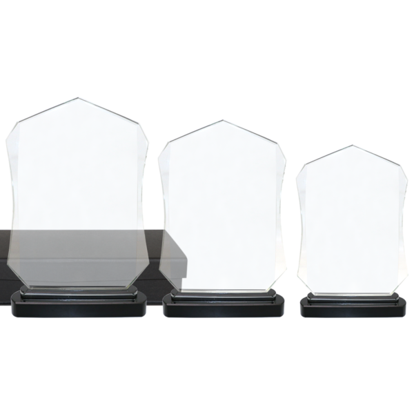 Trophée Personnalisable en Verre