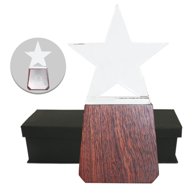 Trophee Star en Bois & Verre